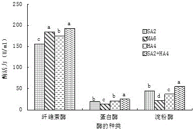 Screening method of composite microbial system for producing organic fertilizer