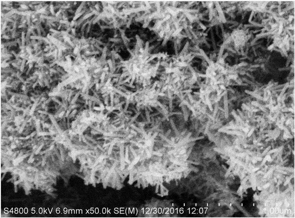 Nano-scale sea urchin-like TiO2/ZnO photocatalyst and preparation method thereof