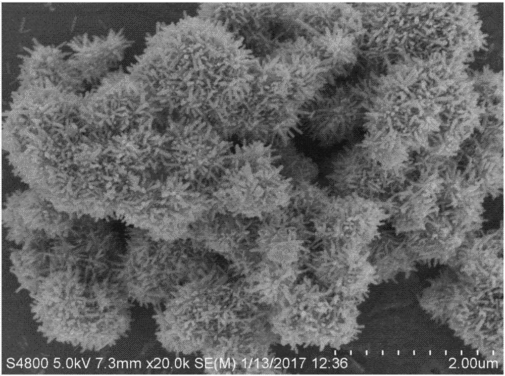 Nano-scale sea urchin-like TiO2/ZnO photocatalyst and preparation method thereof