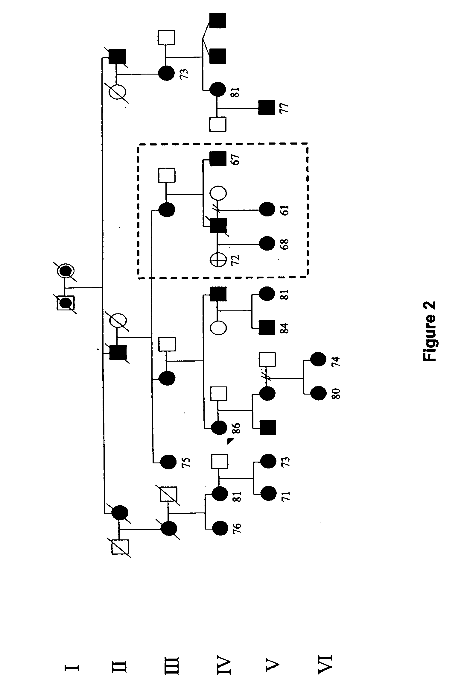 Advanced sleep phase syndrome gen in humans