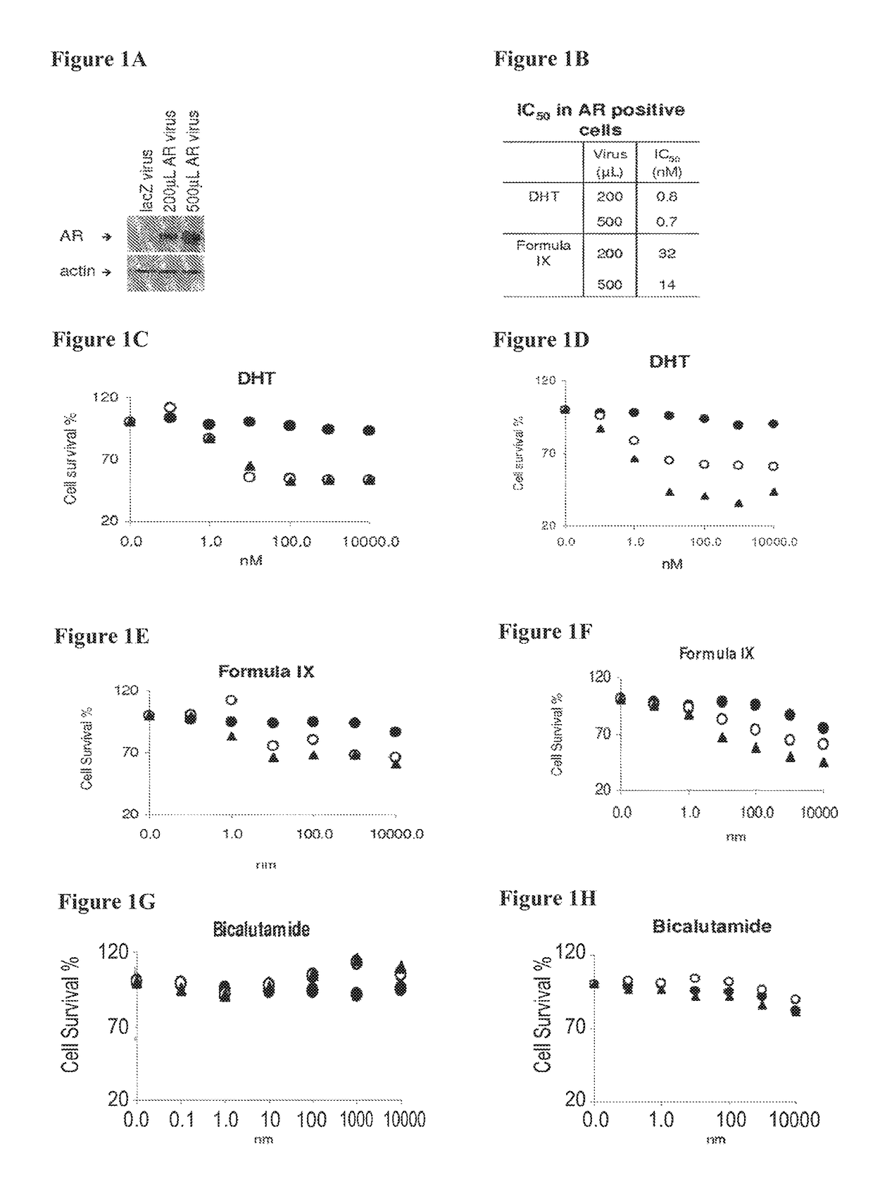 Method of treating her2-positive breast cancers with selective androgen receptor modulators (SARMS)