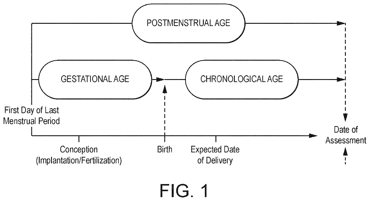 Human milk fortifier composition