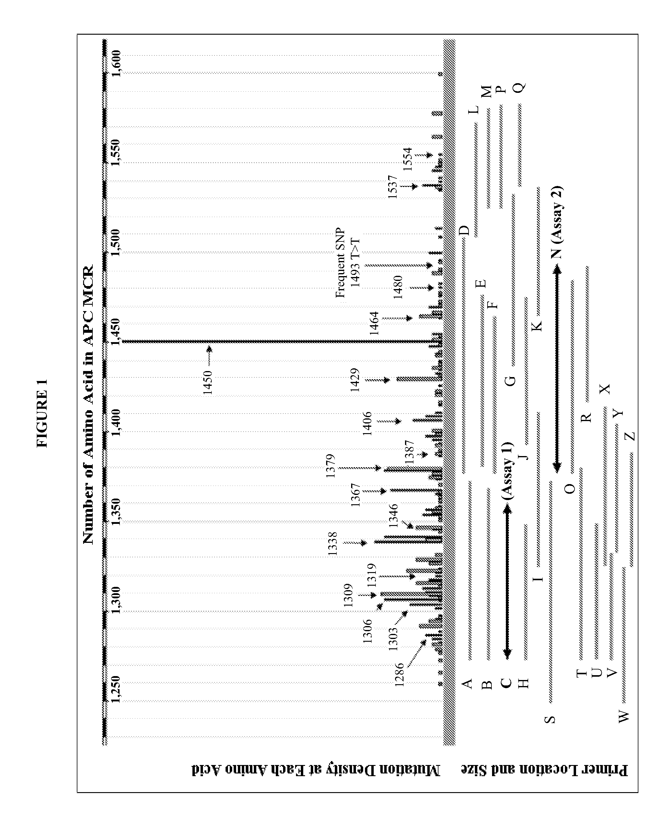 Methods and materials for detecting colorectal cancer and adenoma