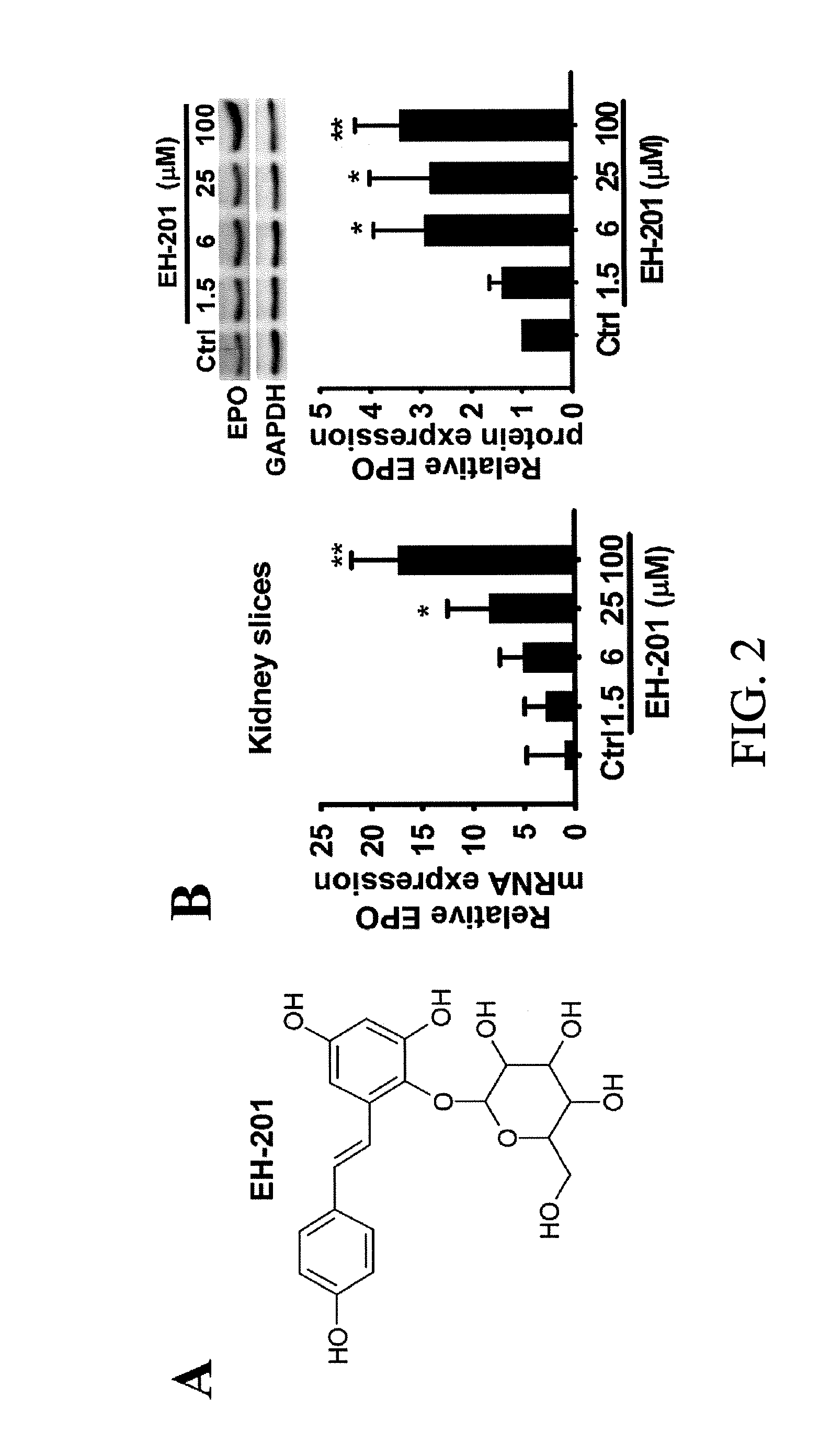 Composition and method for inducing EPO-mediated haemoglobin expression and mitochondrial biogenesis in nonhaematopoietic cell