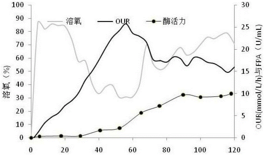 Efficient production method for cellulase