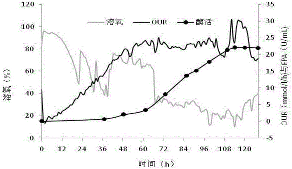 Efficient production method for cellulase