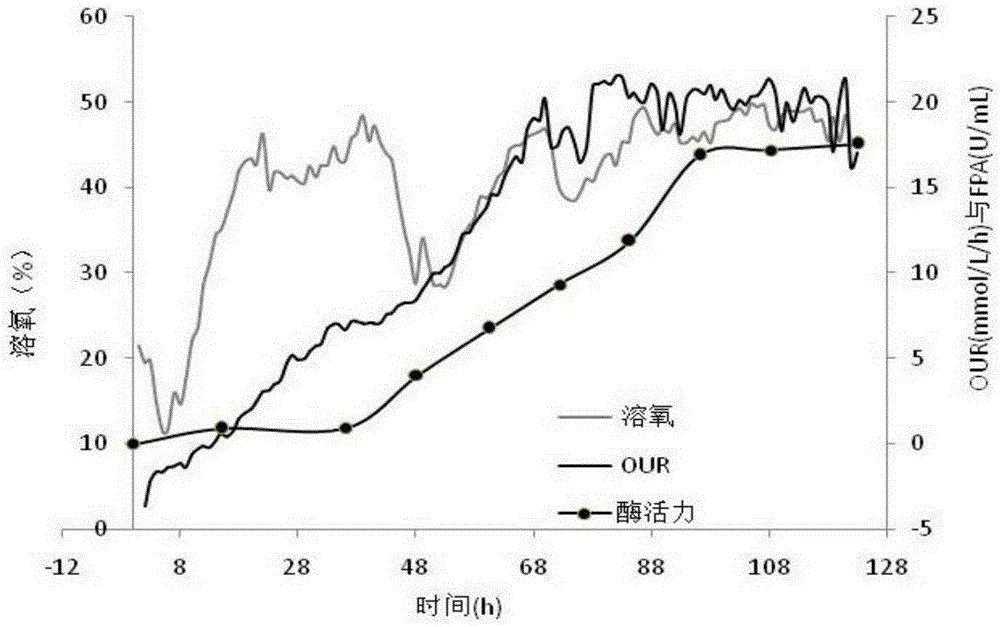 Efficient production method for cellulase