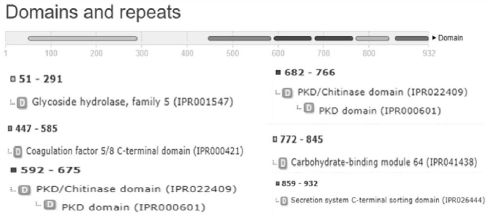 A kind of endo-type β-mannan hydrolase man01929 and its method and application of mutation into glycosyltransferase