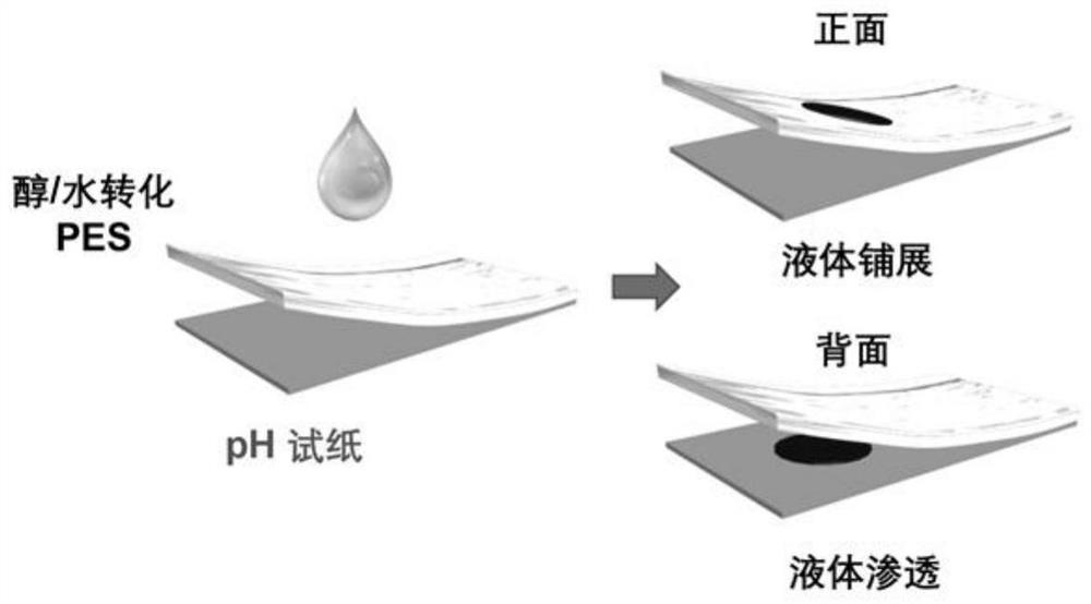 A kind of hydrophilic monolayer porous film and its preparation method and application