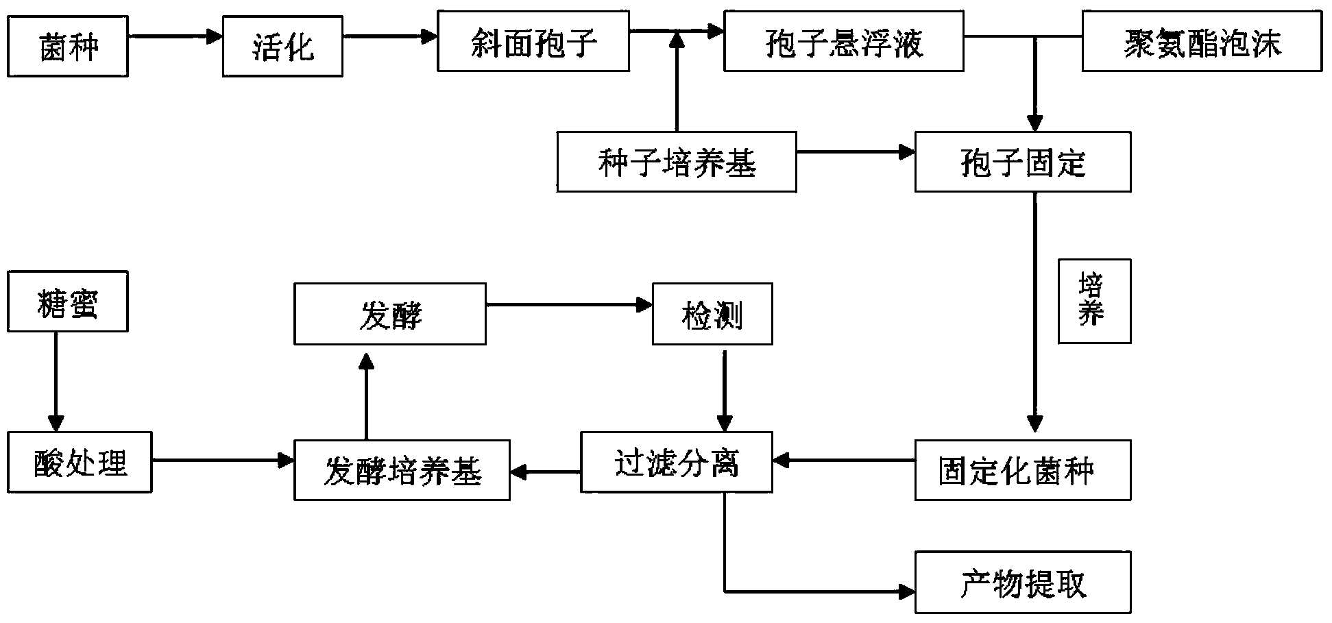 Method for producing kojic acid by using molasses fermented by immobilized aspergillus oryzae