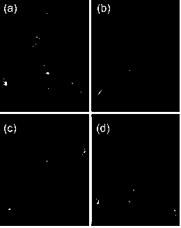 Synthesis method of lectin-iron core gold shell nanoparticles for tumor MRI/CT dual-mode diagnosis