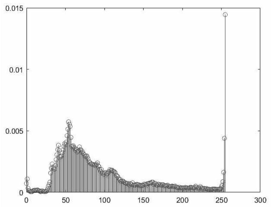 Multi-scene sailor unsafe behavior detection method based on improved YOLOv3