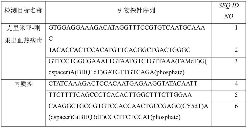 Crimean-Congo hemorrhagic fever virus detection method and primer probe set