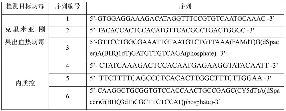 Crimean-Congo hemorrhagic fever virus detection method and primer probe set