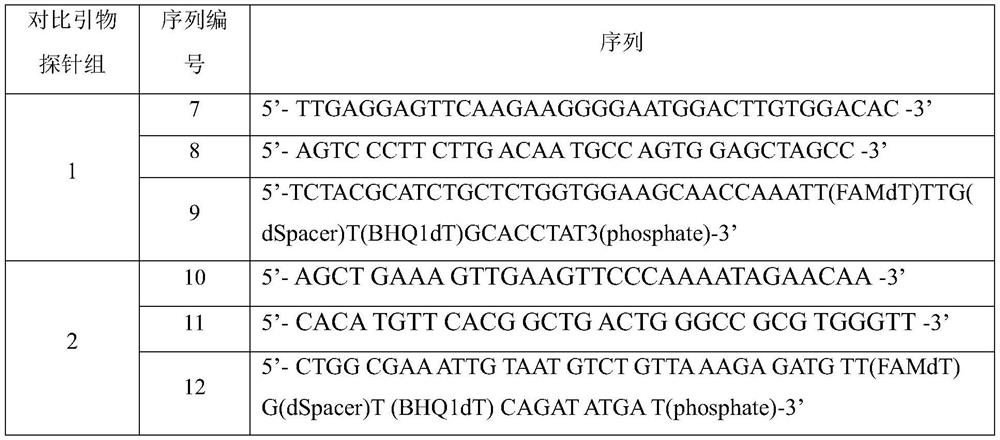 Crimean-Congo hemorrhagic fever virus detection method and primer probe set