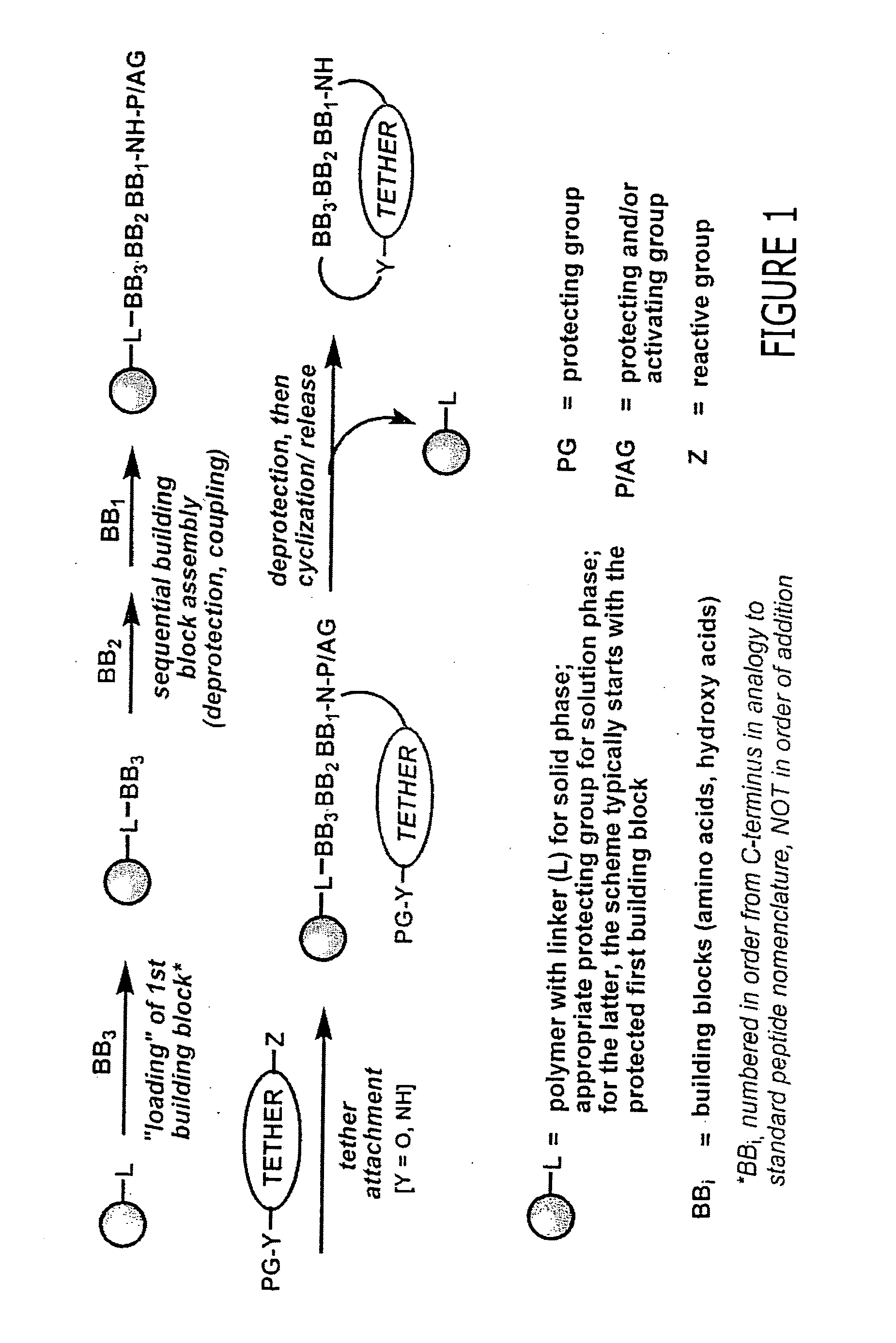 Methods of using macrocyclic modulators of the ghrelin receptor