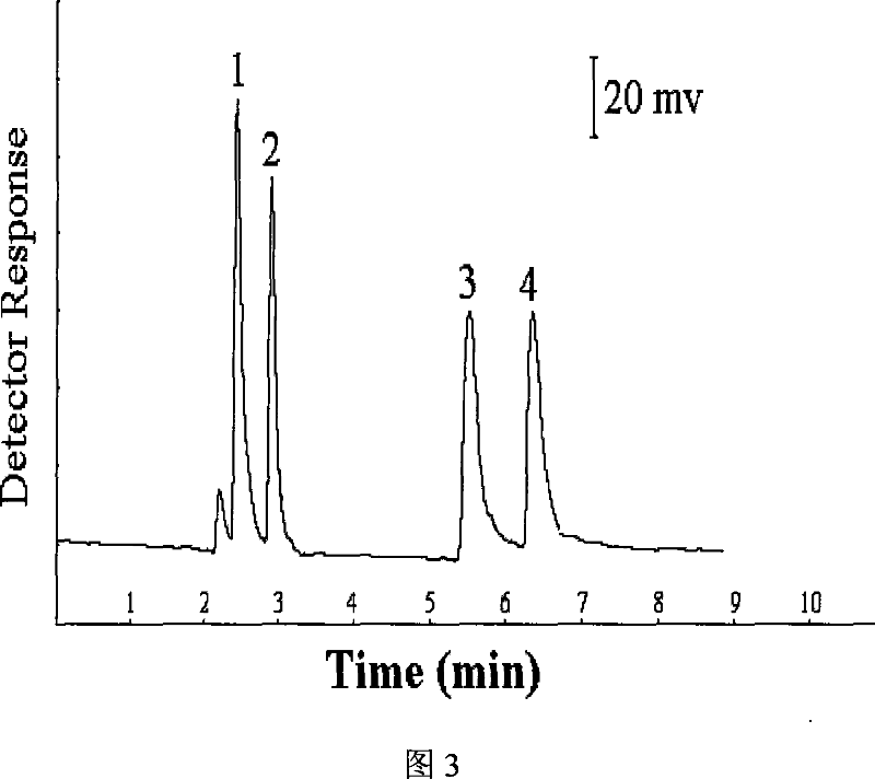 Pressurized capillary electrochromatography electrochemistry detecting method