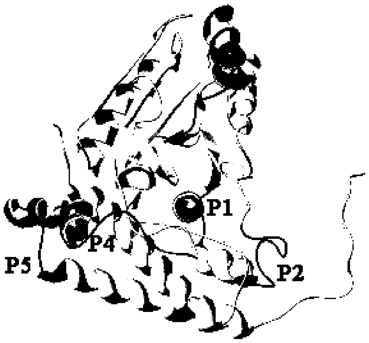 Streptococcus iniae PDHA1 multi-epitope polypeptide