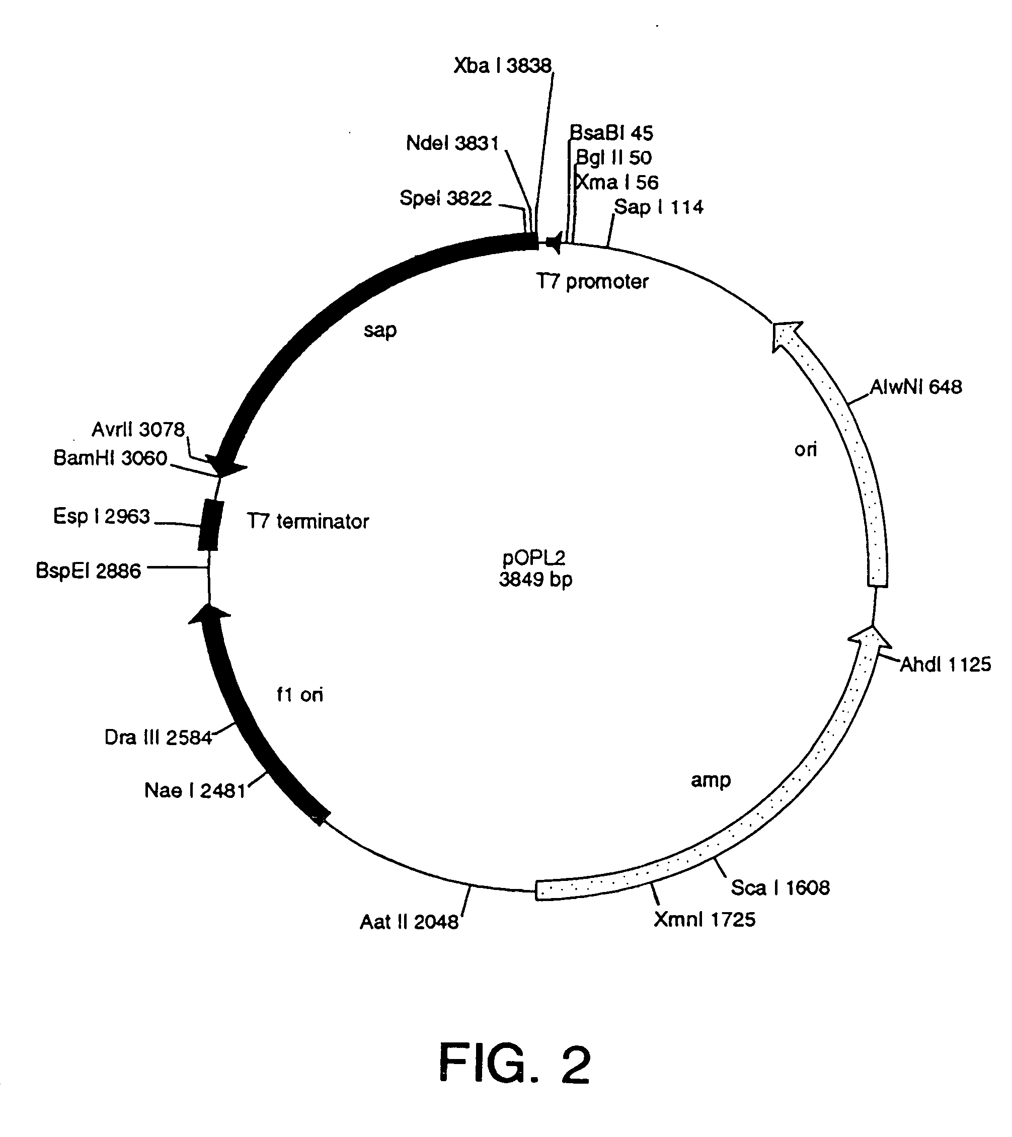 Methods and compositions for treating secondary tissue damage and other inflammatory conditions and disorders