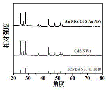 Gold nanorod-CdS-gold nanoparticle composite photocatalyst and application thereof