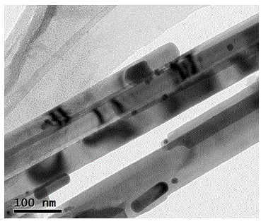 Gold nanorod-CdS-gold nanoparticle composite photocatalyst and application thereof