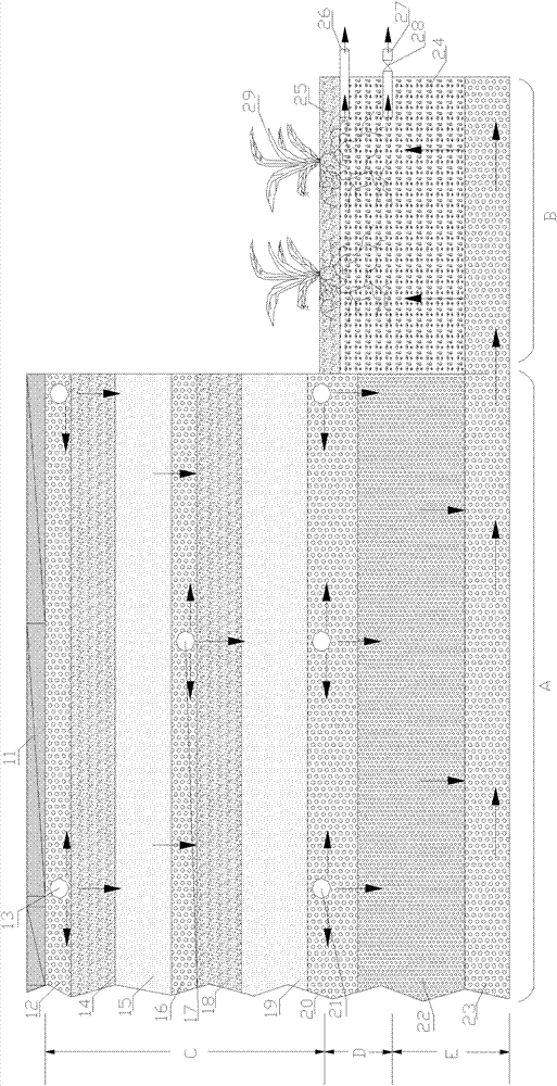 Method and device for efficiently denitriding and dephosphorizing underground percolation sewage