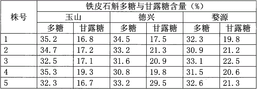 Sanqingshan cold-resistant dendrobium officinale seedling culturing method