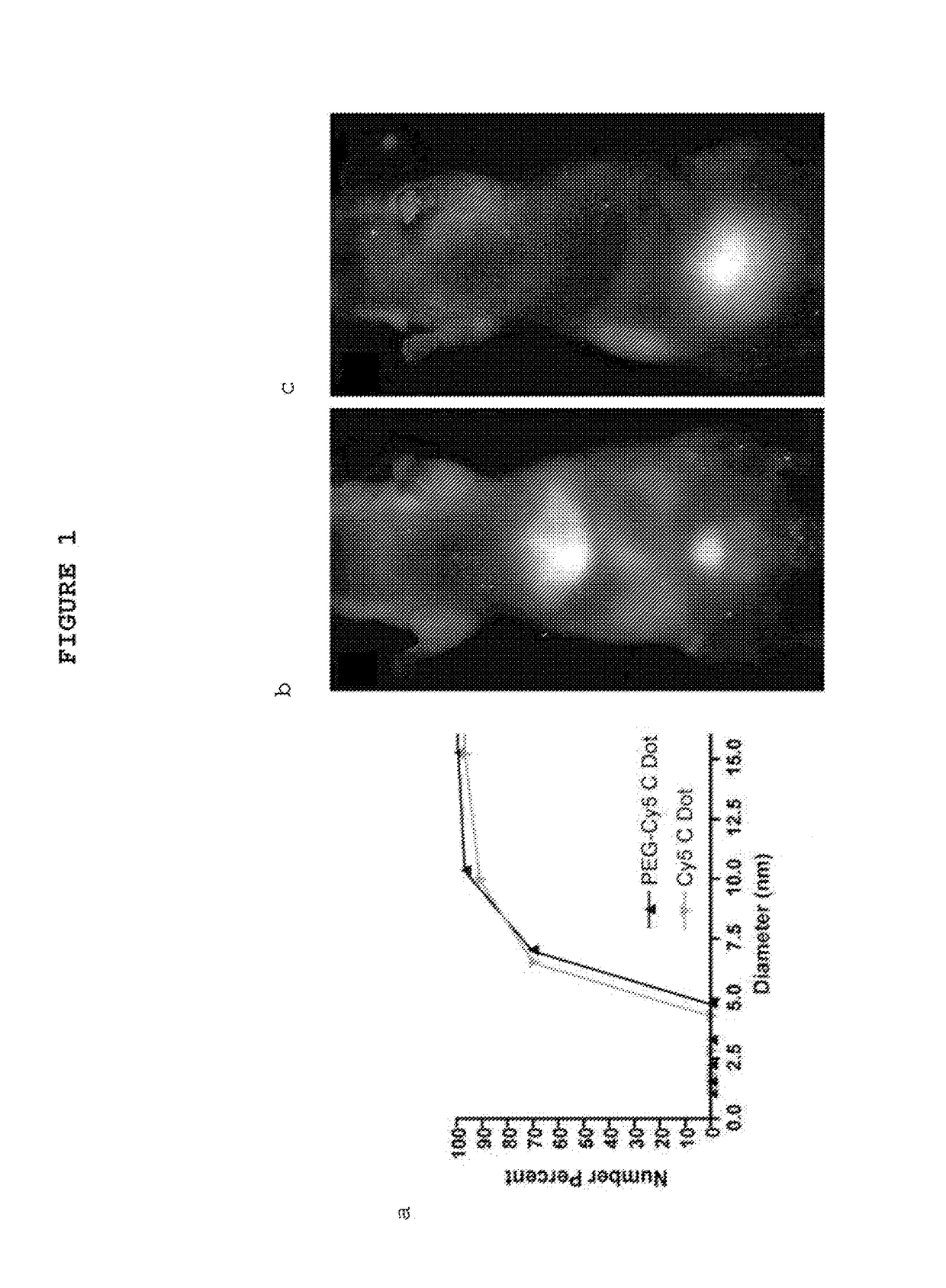 Fluorescent silica-based nanoparticles