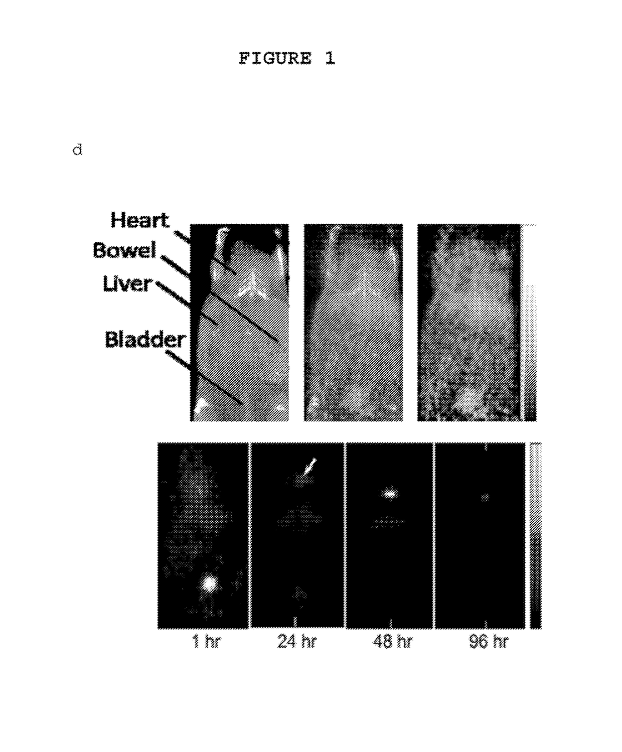 Fluorescent silica-based nanoparticles