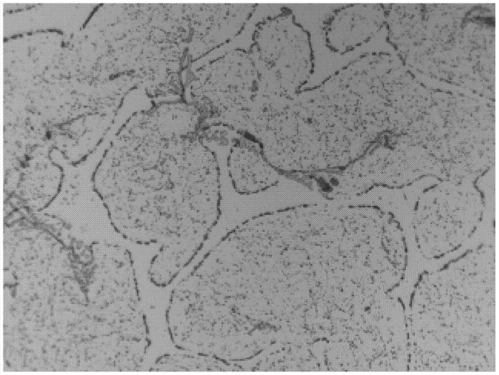 A kind of ferritic heat-resistant cast steel and its preparation method and application