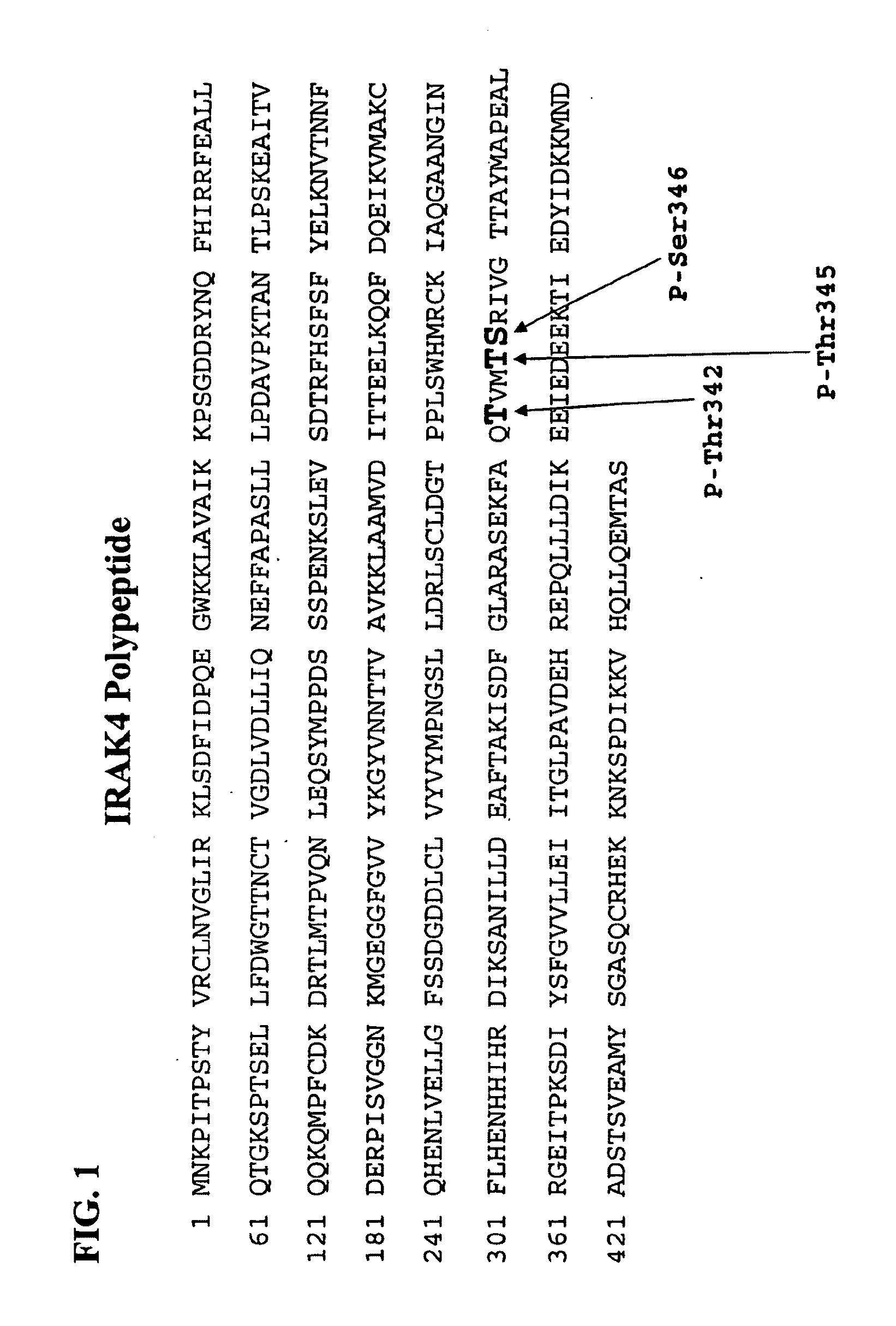 Antibodies to Phosphorylated IRAK4