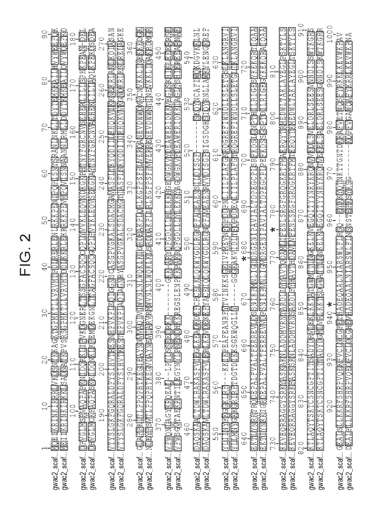 Rna-guided nucleic acid modifying enzymes and methods of use thereof