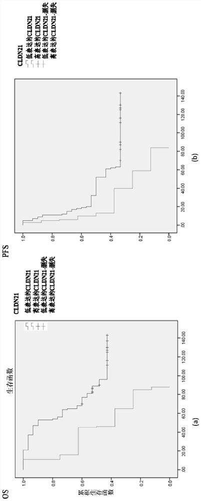 A prognostic diagnostic marker claudin21 for ovarian cancer and its application