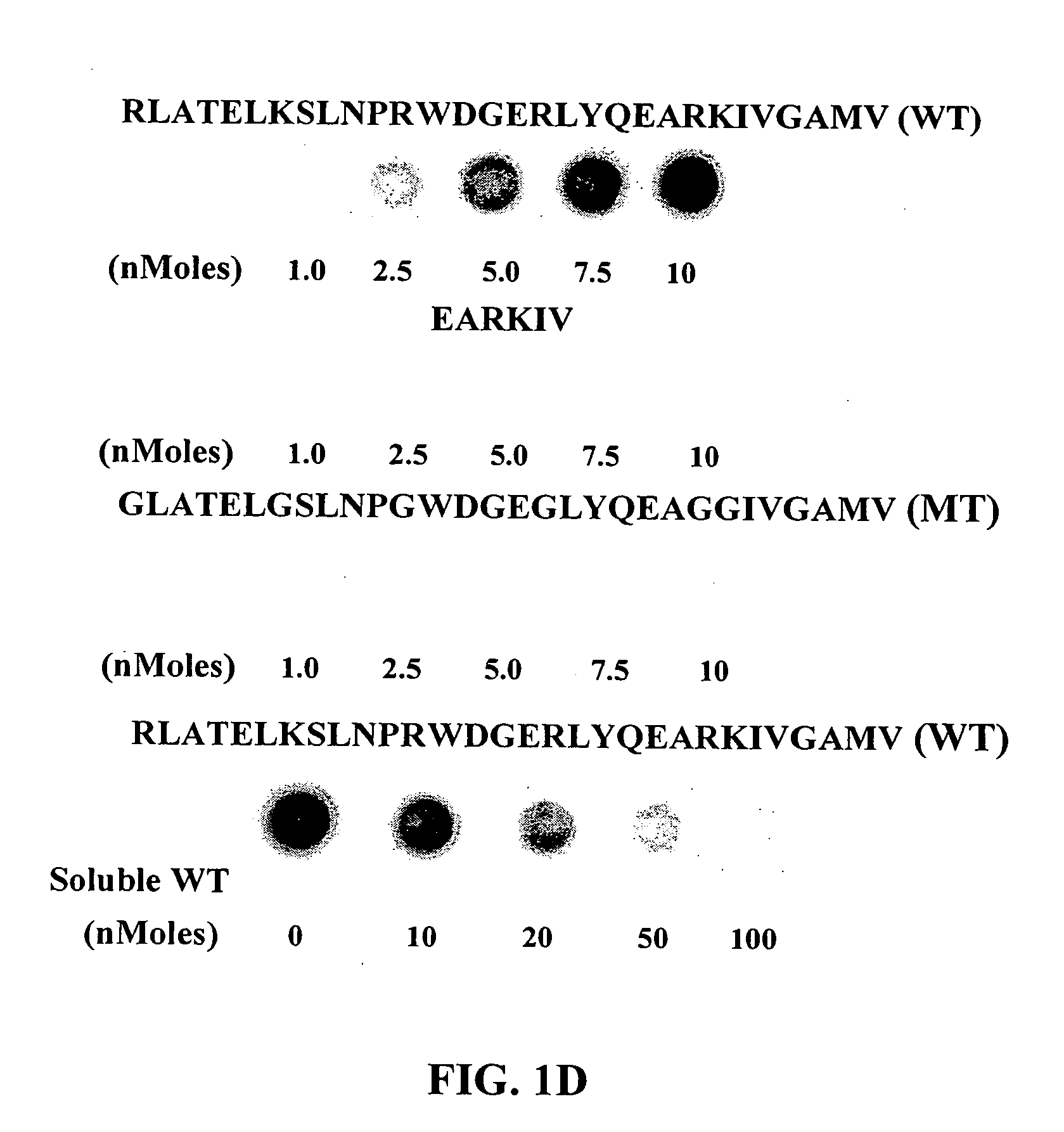 Peptide carrier for drug delivery