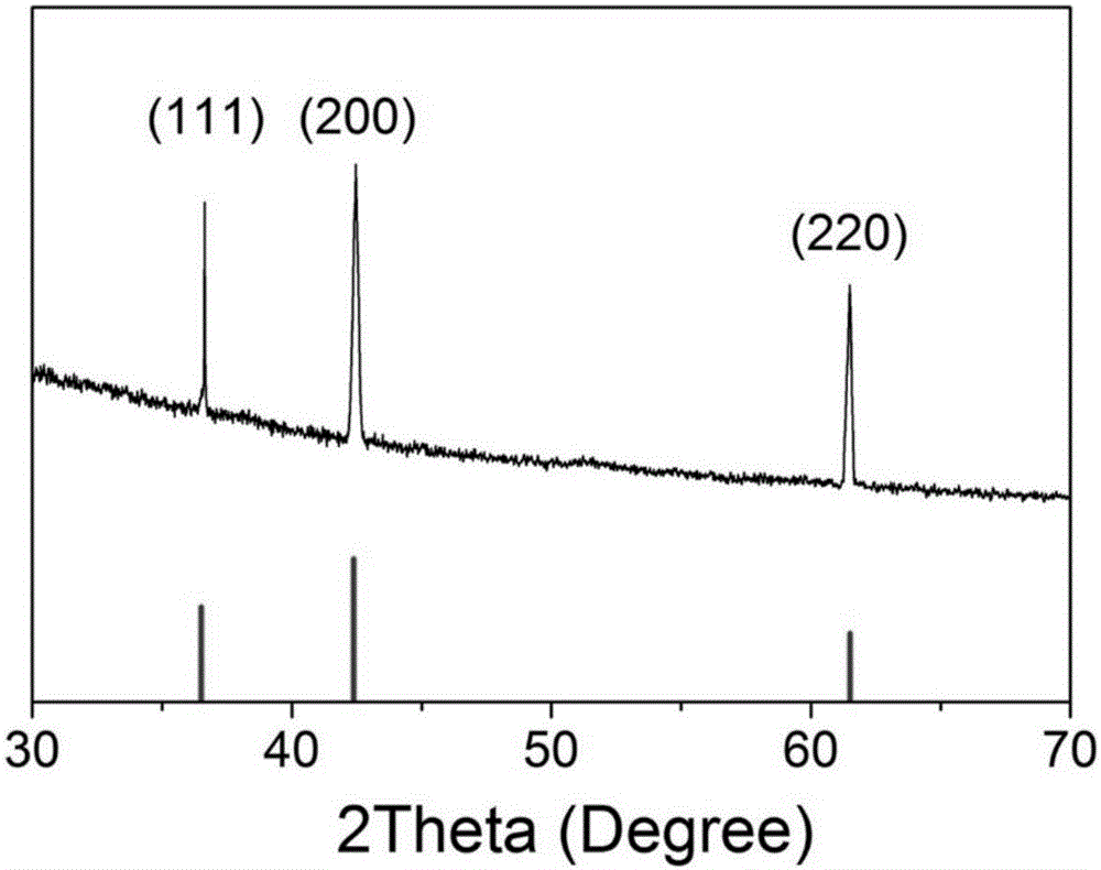 Rh/CoO nanometer catalyst, and preparation method and application thereof