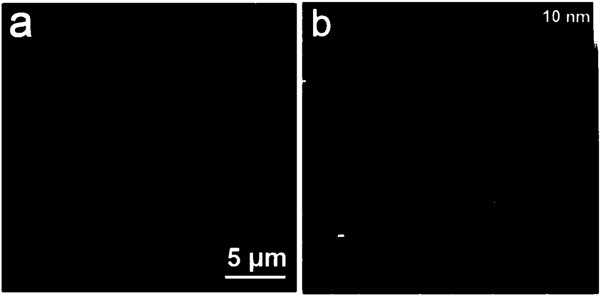 Method for growing single-crystal two-dimensional transitional metal sulphide