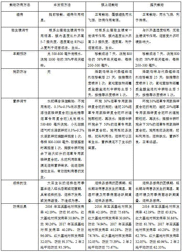 Method for combining early prevention with healthy cultivation to prevent and control field tobacco black shank disease