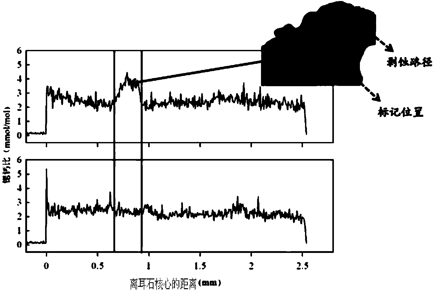 Marking method for proliferation and releasing of large yellow croakers