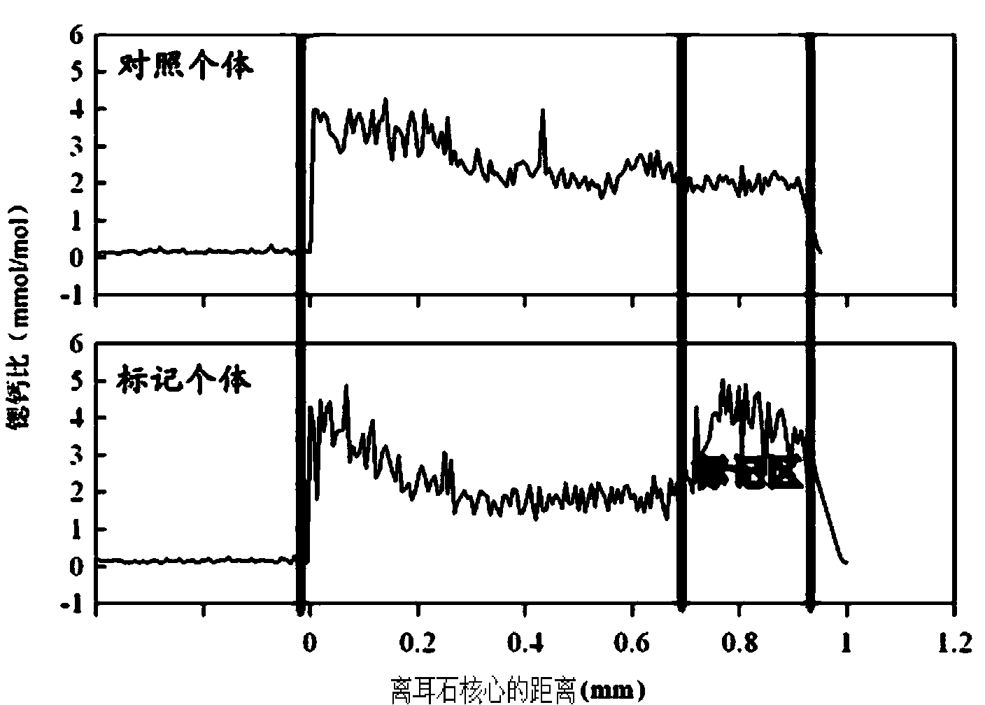 Marking method for proliferation and releasing of large yellow croakers