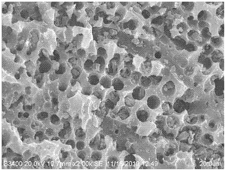 Preparation method of activated carbon supported ferrous heterogeneous Fenton's reagent oxidation catalyst