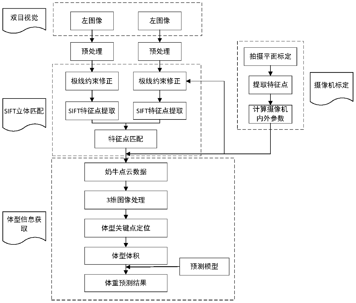 Cow weight prediction system