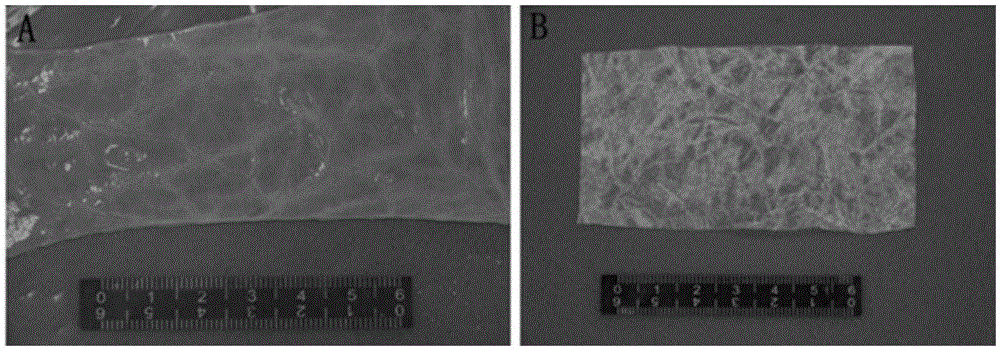 Use of material prepared through cross-linking genipin to intestinal mucosal lower layer