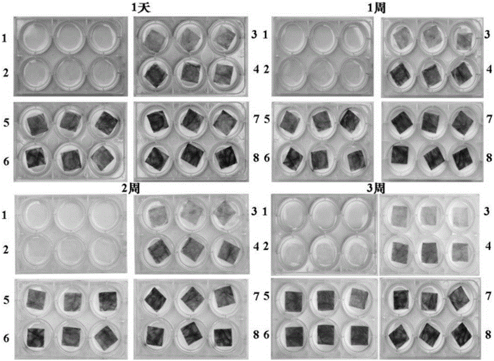 Use of material prepared through cross-linking genipin to intestinal mucosal lower layer