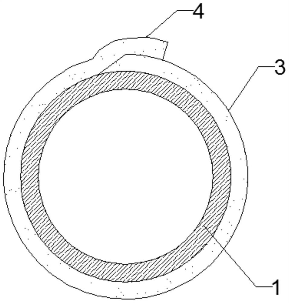 Preparation method of anti-termite protective layer and gas pipeline with protective layer