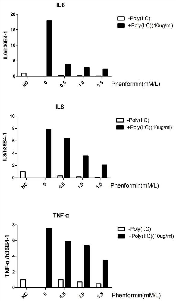 Use of phenformin in the preparation of anti-inflammatory preparations for skin