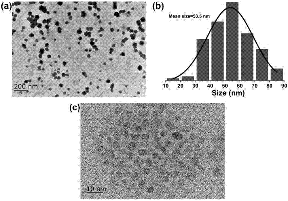 Highly sensitive and decomposable quantum dot nanosphere probe and preparation method thereof