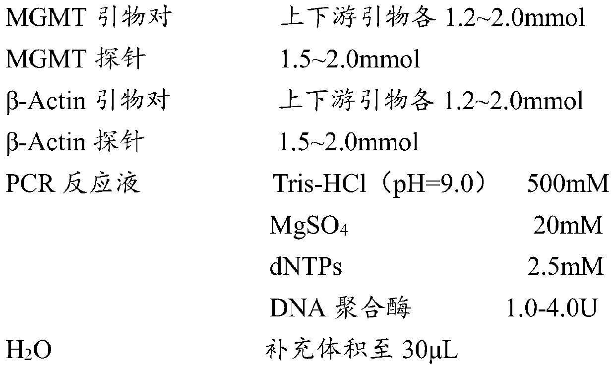 Kit and method for quantitatively detecting methylation degree of human MGMT gene