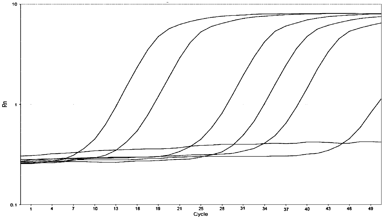 Kit and method for quantitatively detecting methylation degree of human MGMT gene