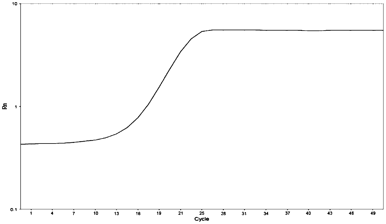 Kit and method for quantitatively detecting methylation degree of human MGMT gene