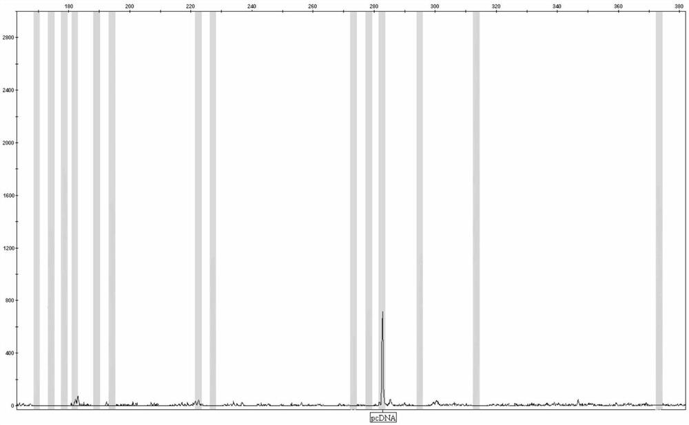 Kit and method for detecting human pressure sensitivity genotypes